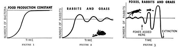 Above: In The Challenge of Man's Future (1954), Harrison Brown illustrated what he suggested was the "natural" course of evolution. The introduction of a disrupting force (the fox in this case) leads to increasing oscillation in the health and numbers of interdependent species which leads to a spike in growth followed by rapid decline and extinction. This graphic sequence, followed in the text by exponential curves of everything from fossil fuel use to human population growth, illustrated Brown's theme: if reproduction and resource management were not expertly guided, evolution would soon wipe out humanity.
